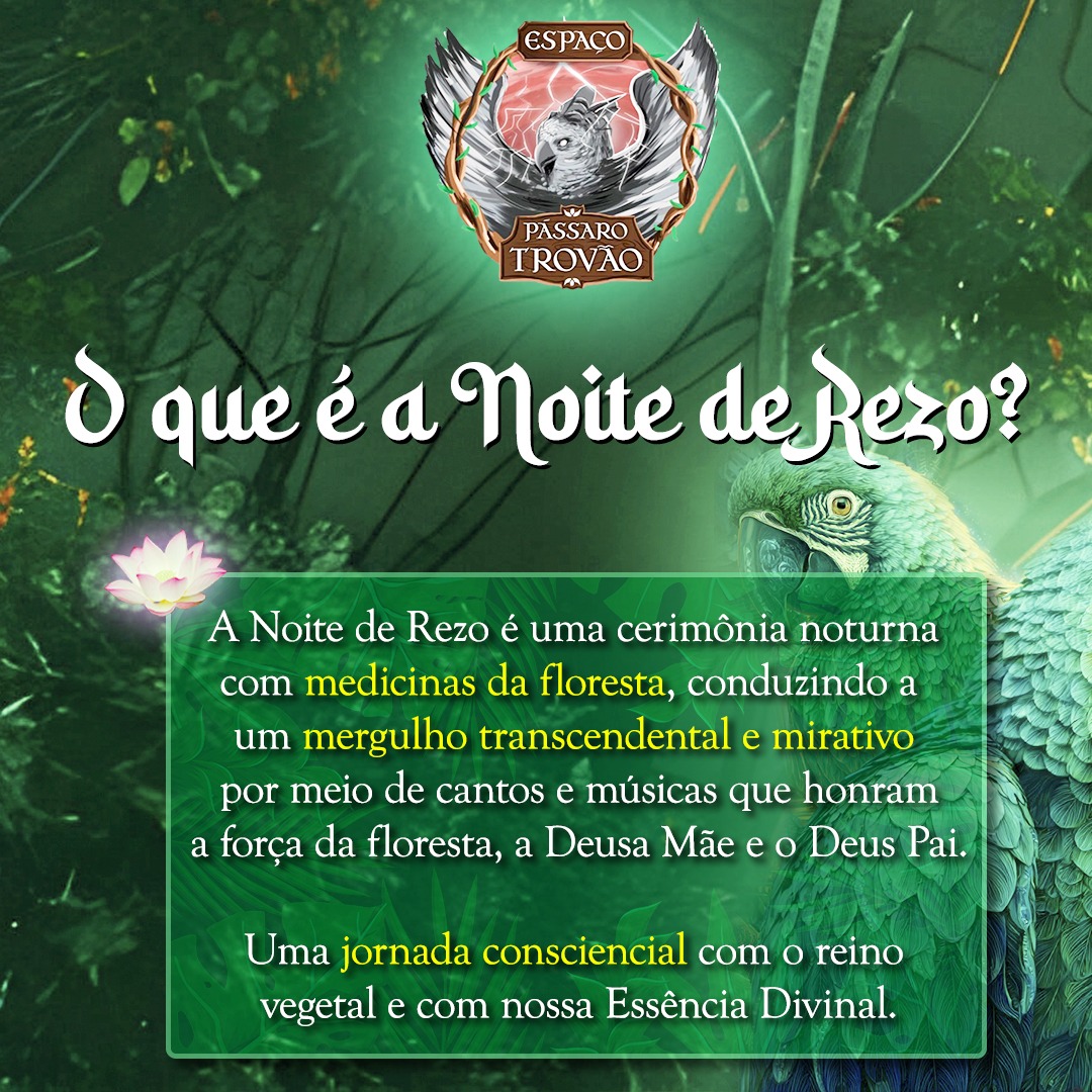 Template para redes sociais David Creates 1