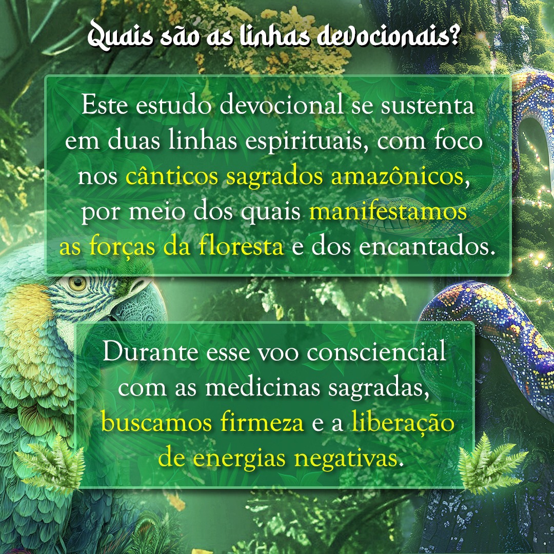 Template para redes sociais David Creates 2